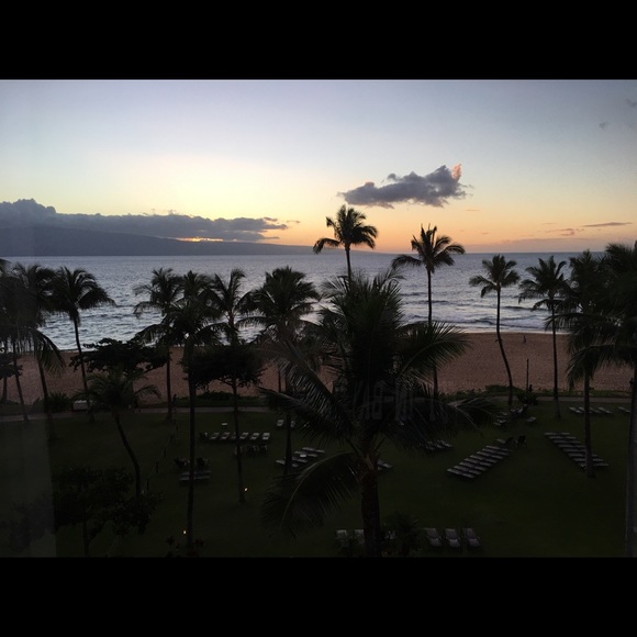 RIP my angel baby Honey😭😭🙏🙏💕4-3-2020🙏 - Picture 6 of 8